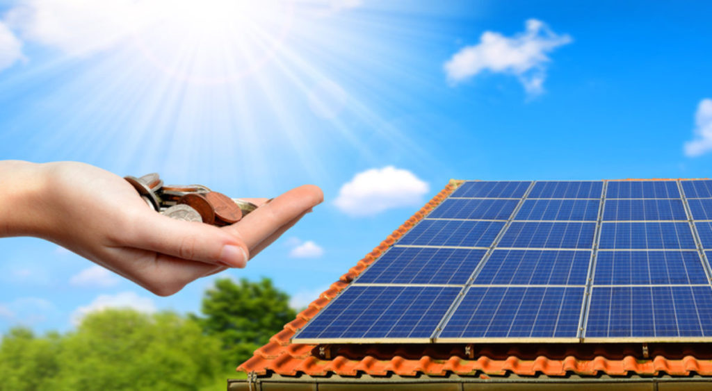 emprende tu negocio de energia sustentable para ayudar al medio ambiente